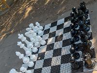 0020 Garden chess